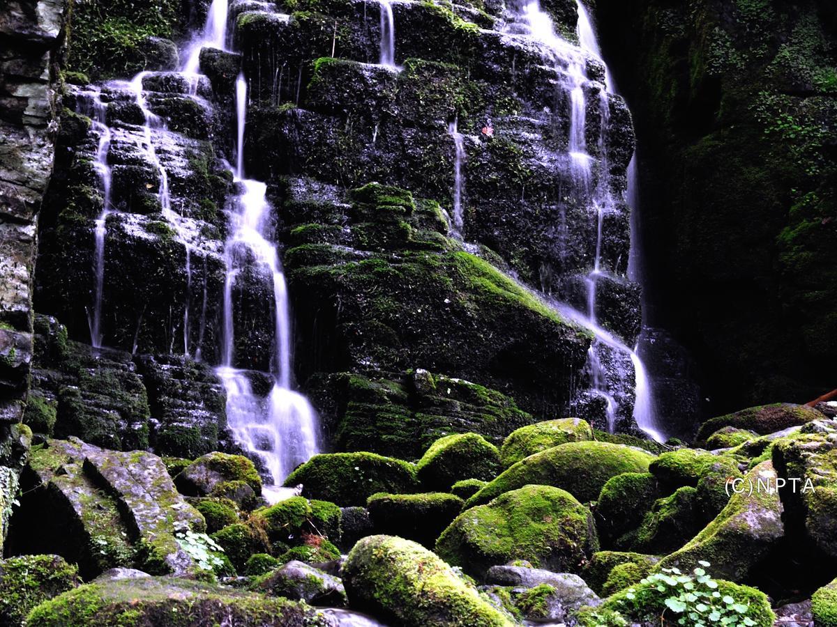 Le Grand Kyu Karuizawa Otel Dış mekan fotoğraf