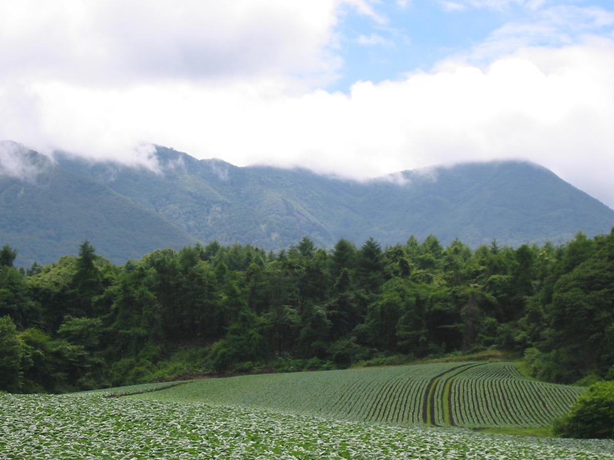 Le Grand Kyu Karuizawa Otel Dış mekan fotoğraf