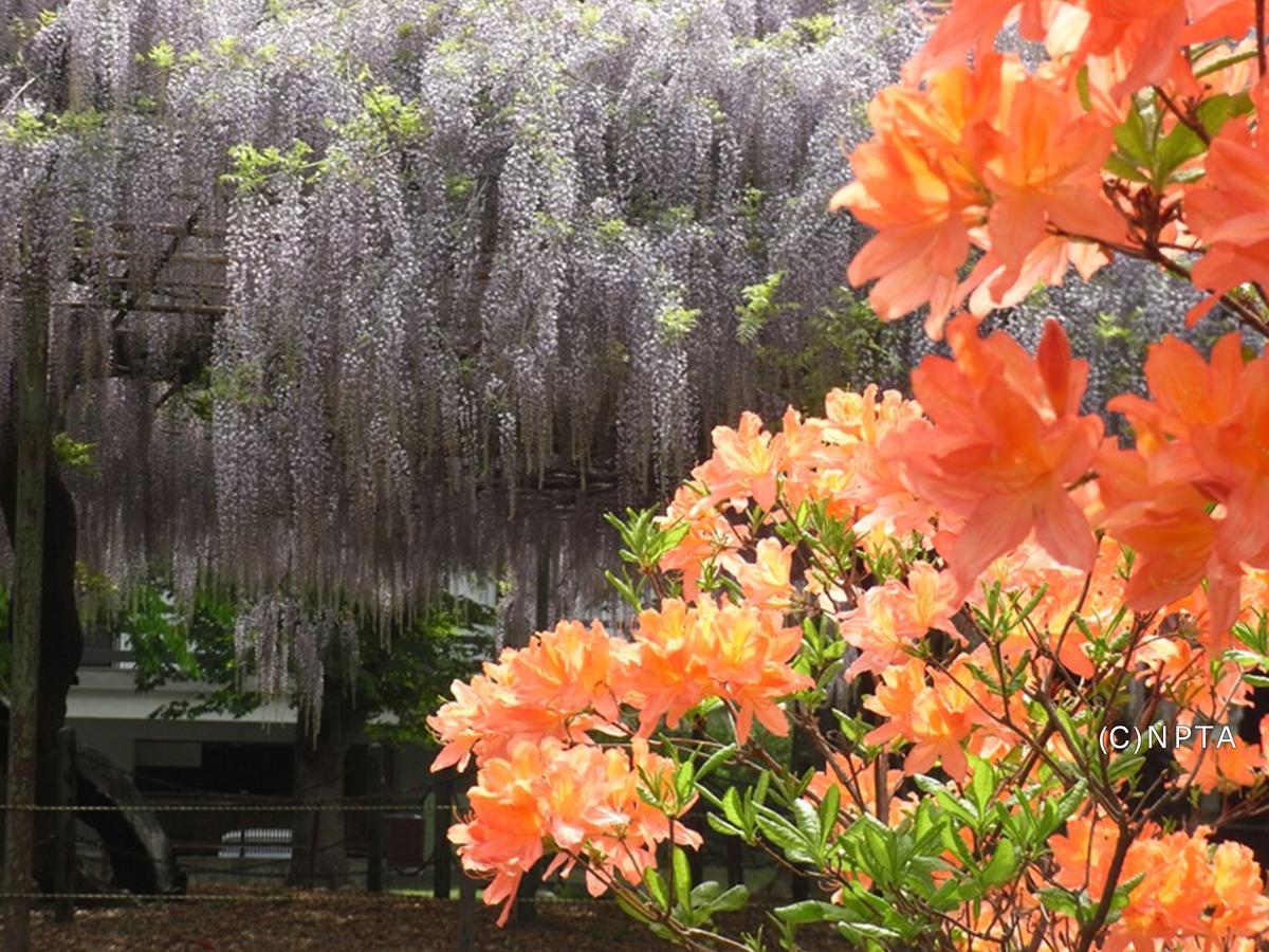 Le Grand Kyu Karuizawa Otel Dış mekan fotoğraf