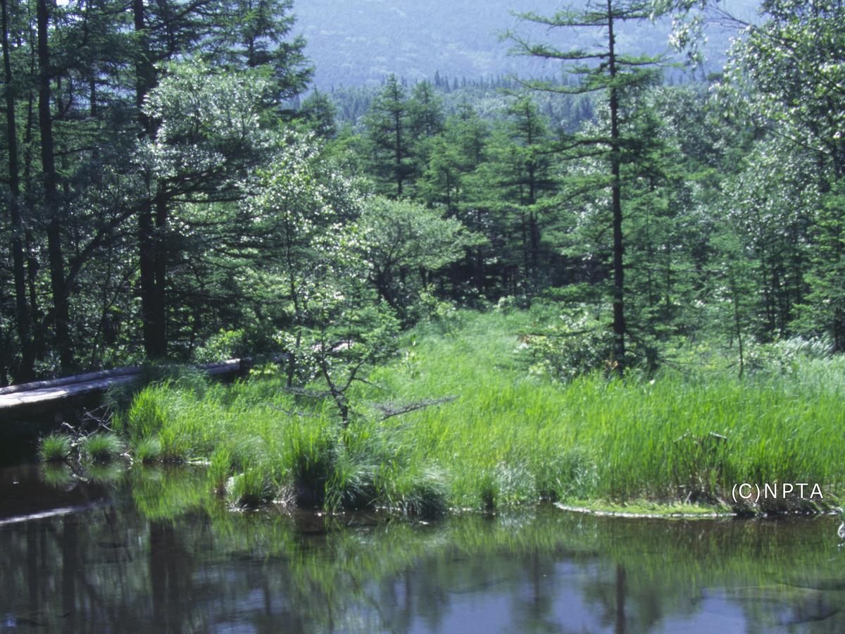 Le Grand Kyu Karuizawa Otel Dış mekan fotoğraf